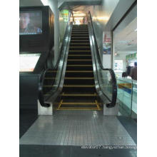 China Best Buys Energysaving Fjzy Customized Escalator